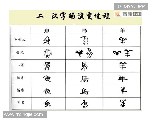 体育赛事历史的演变与影响探讨从古代到现代的变迁与发展